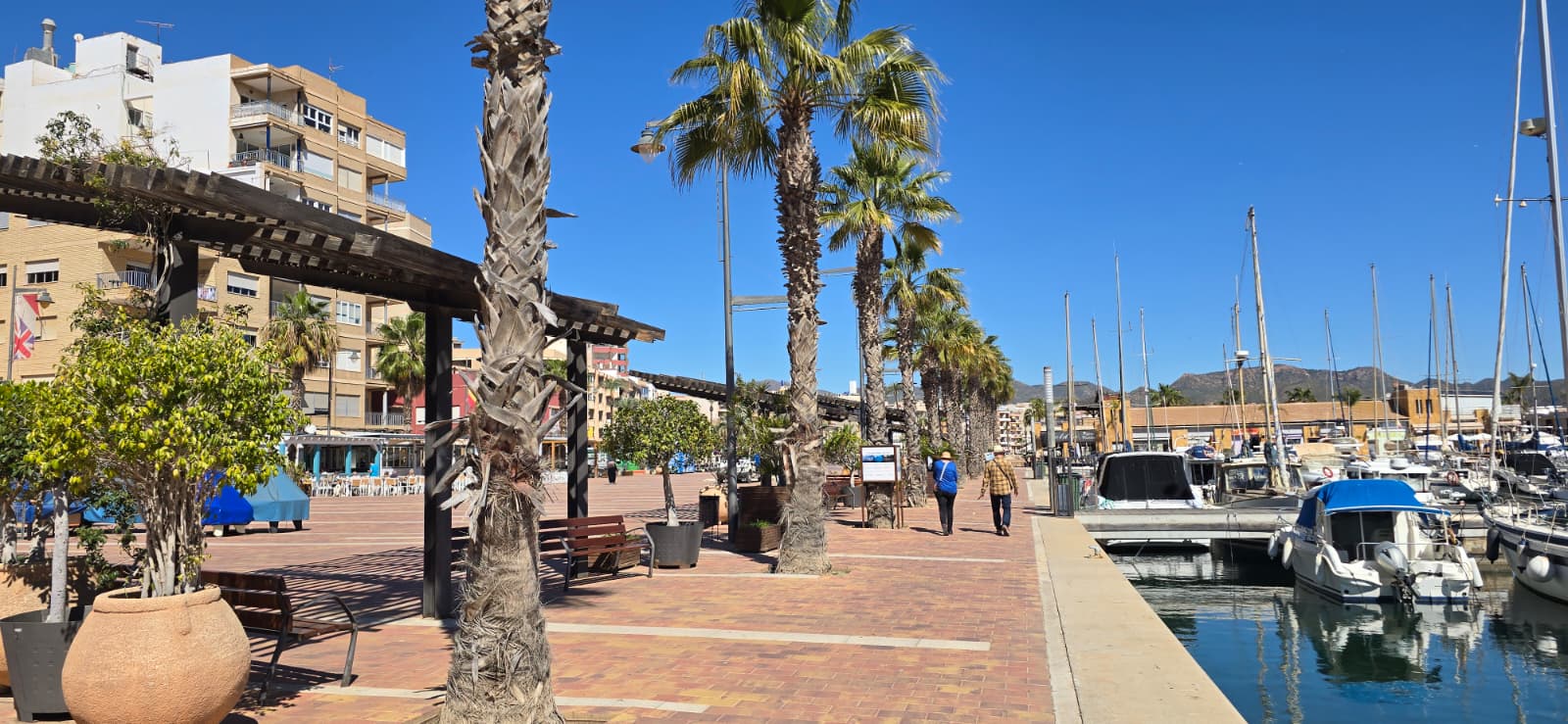 WhatsApp Image 2026-03-17 at 09.55.28 (1)